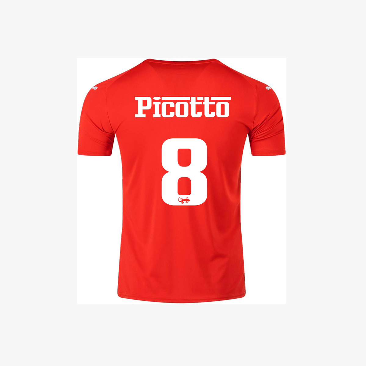 PICOTTO SCUDERIA